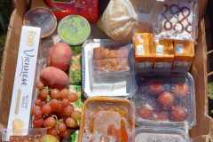 IMG-20200801-WA0081